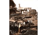 Mizpah has been identified with Nebi Samwil, a few miles north-west of Jerusalem. The mosque contains the so-called Tomb of Samuel. An early photograph.